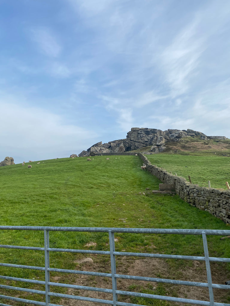 Crag Side is born…